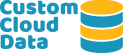 Custom Cloud Data Logo